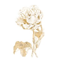 Gilded Botanical VII Sq Fine Art Print