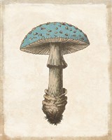 Funghi Velenosi Blue Green Fine Art Print