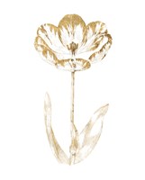 Gilded Botanical VI Fine Art Print