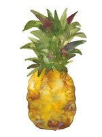 Harriets Pineapple I Fine Art Print