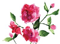 Bright Roses Fine Art Print