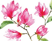 Bright Magnolias Fine Art Print