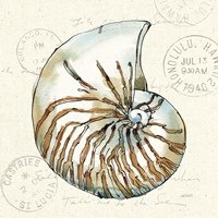 Coastal Breeze V Fine Art Print