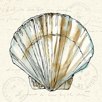 Coastal Breeze VII Fine Art Print