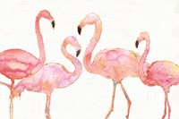 Flamingo Fever I no Splatter Fine Art Print