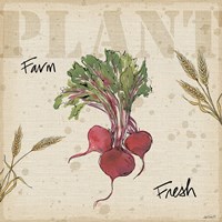 Farmers Feast IV Framed Print