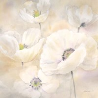 White Poppies II Framed Print