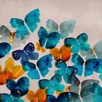 Free to Fly Fine Art Print