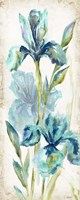 Watercolor Iris Panel REV I Framed Print
