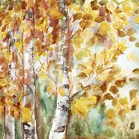 Watercolor Fall Aspens Square Fine Art Print