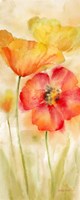Watercolor Poppy Meadow Spice Panel I Fine Art Print