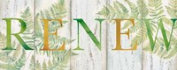 Renew Rustic Botanical Sign Fine Art Print