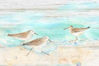 Sandpiper Beach Landscape Fine Art Print