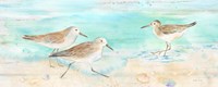 Sandpiper Beach Panel Fine Art Print