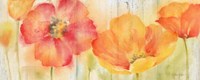 Poppy Meadow Spice Woodgrain Panel Fine Art Print