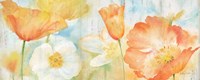 Poppy Meadow Pastel Woodgrain Panel Fine Art Print