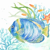 Sea Life Serenade I Fine Art Print