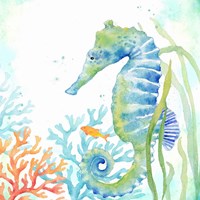 Sea Life Serenade III Fine Art Print