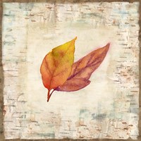 Nature Walk Leaves I Framed Print