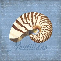 Oceanum Shells Blue III Fine Art Print