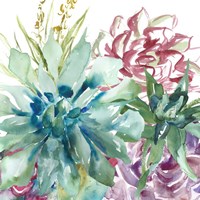 Succulent Garden Watercolor II Fine Art Print