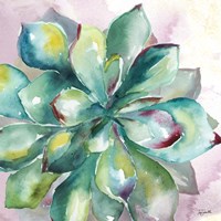 Succulent Watercolor I Fine Art Print