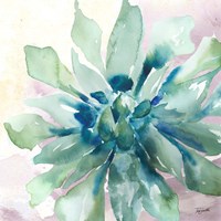 Succulent Watercolor III Fine Art Print