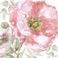 Poppy Romance II Framed Print