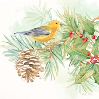 Winter Birds I Warbler Fine Art Print