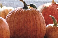 Fall Pumpkin Fine Art Print