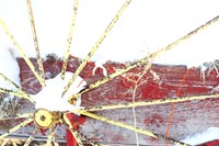 Winter Wagon Fine Art Print