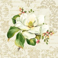 Botanical Christmas Cream III Framed Print