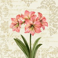 Botanical Christmas Cream IV Framed Print