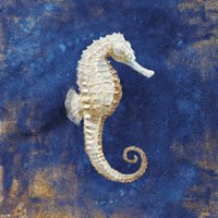 Treasures from the Sea Indigo I Framed Print