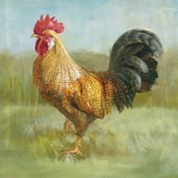 Noble Rooster II Fine Art Print