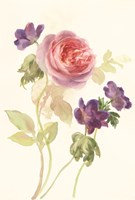 Watercolor Flowers IV Framed Print
