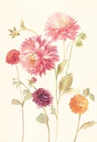 Watercolor Flowers VI Fine Art Print