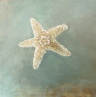 Treasures from the Sea III Fine Art Print