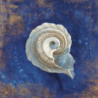 Treasures from the Sea Indigo III Fine Art Print