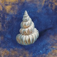 Treasures from the Sea Indigo II Framed Print