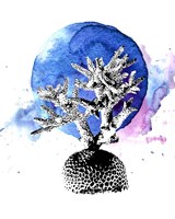 Coral with Blue Splash Fine Art Print