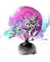 Coral with Pink Splash Fine Art Print