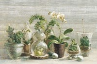 Greenhouse Orchids on Wood v2 Fine Art Print