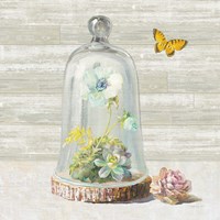 Succulent Garden II Framed Print