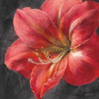 Vivid Floral III Crop Fine Art Print