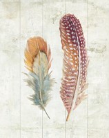 Natural Flora XI Bold Feathers Fine Art Print
