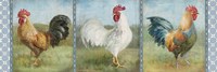 Noble Roosters V Fine Art Print