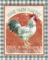 Farm Nostalgia VIII Framed Print