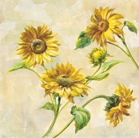 Farm Nostalgia Sunflowers Fine Art Print