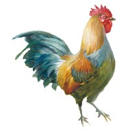 Noble Rooster III on White Framed Print